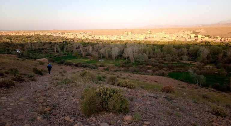 Cour de Cuisine chez l'Habitant e Hebdomadaire du Marché Tour Marocco &mdash; #6
