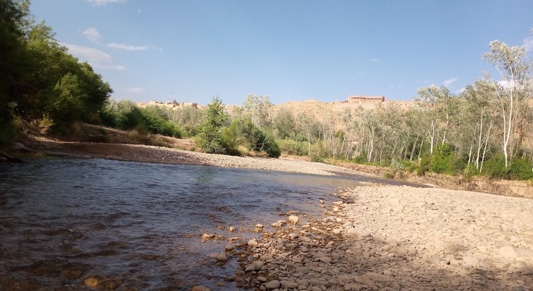 Cour de Cuisine chez l'Habitant e Hebdomadaire du Marché Tour Marocco &mdash; #8