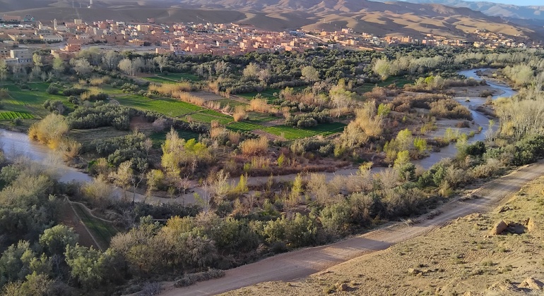 amazing-cooking-class-at-local-home-weekly-market-tour-en-10