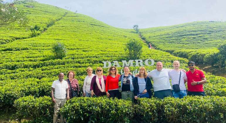 Tour privato di Nuwara Eliya da Kandy  Sri Lanka &mdash; #3