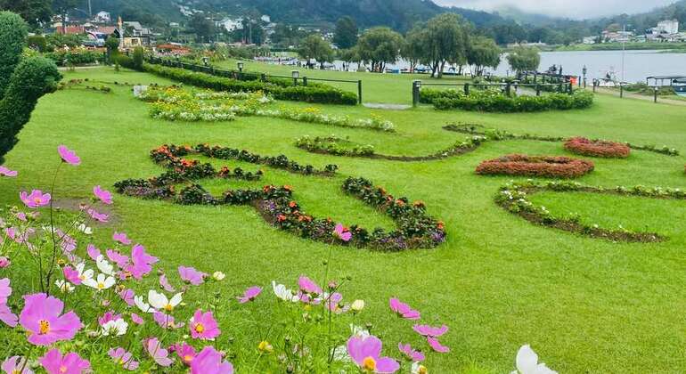 Tour privato di Nuwara Eliya da Kandy  Sri Lanka &mdash; #8