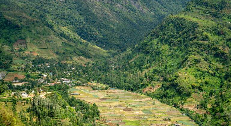 Tour privato di Nuwara Eliya da Kandy  Sri Lanka &mdash; #13