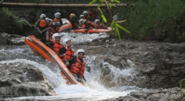 Ubud Combo Aventura Emocionante: Paseo en quad y rafting con transporte Indonesia &mdash; #2