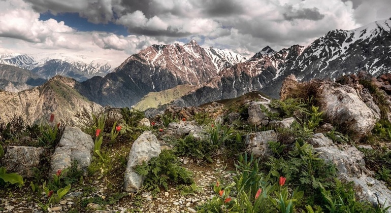 Excursión a Amirsoy, Chimgan y el lago Charvak  Uzbekistán &mdash; #3