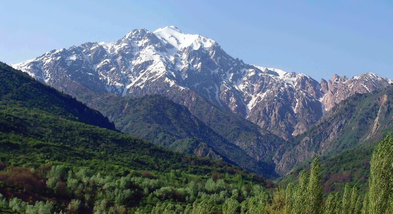Excursión a Amirsoy, Chimgan y el lago Charvak  Uzbekistán &mdash; #5