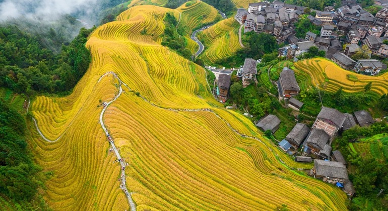 from-guilin-one-day-private-longji-rice-terraces-tour-es-1