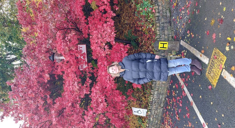 Walk Dublin Tour With Ger: Qualified Local Guide Ireland &mdash; #8