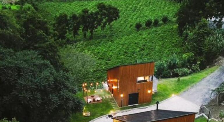 private-tour-of-history-vale-dos-vinhedos-es-2