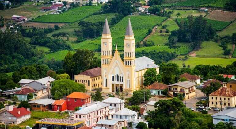 private-tour-of-history-vale-dos-vinhedos-es-6