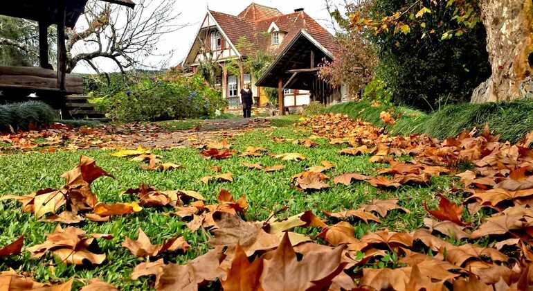 private-tour-of-history-vale-dos-vinhedos-es-8