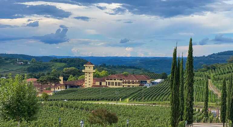 private-tour-of-history-vale-dos-vinhedos-es-13