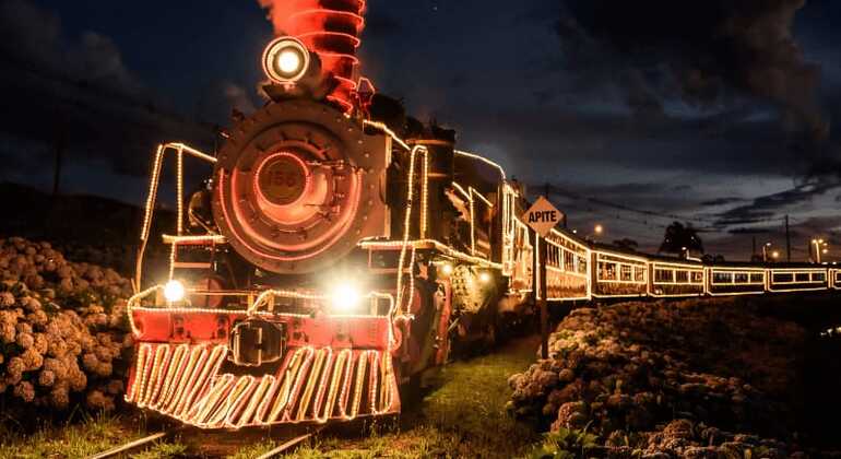 private-tour-of-history-vale-dos-vinhedos-es-14