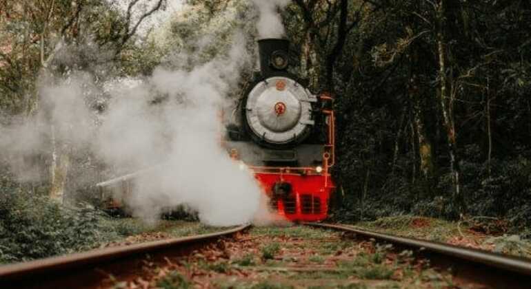 private-tour-of-history-vale-dos-vinhedos-es-16