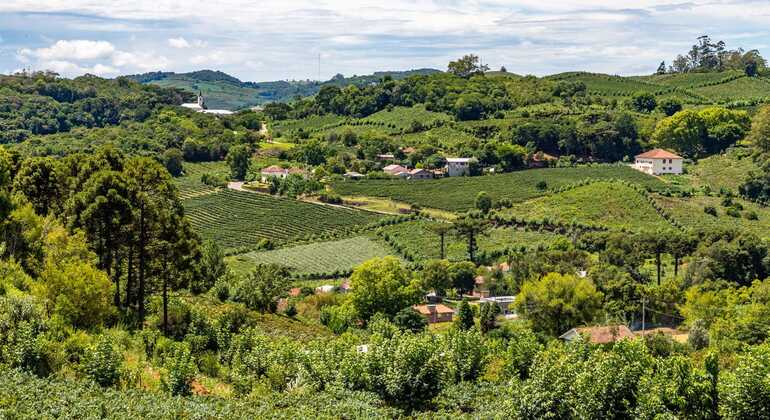 private-tour-of-history-vale-dos-vinhedos-es-19