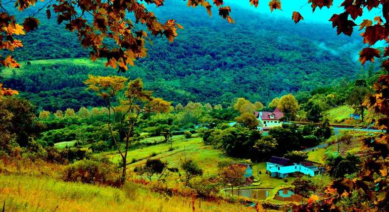 private-tour-of-history-vale-dos-vinhedos-es-26