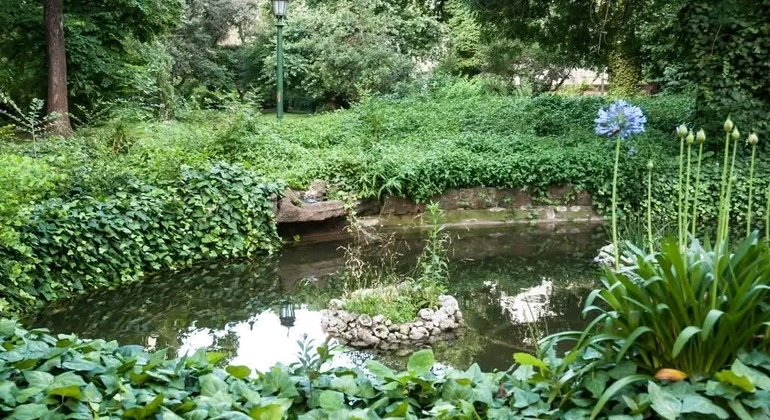Tour Privado de História e Natureza: Bairro de Palermo em Buenos Aires Argentina &mdash; #3