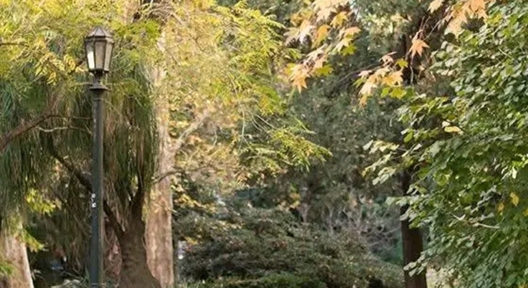 Tour Privado de História e Natureza: Bairro de Palermo em Buenos Aires Argentina &mdash; #7