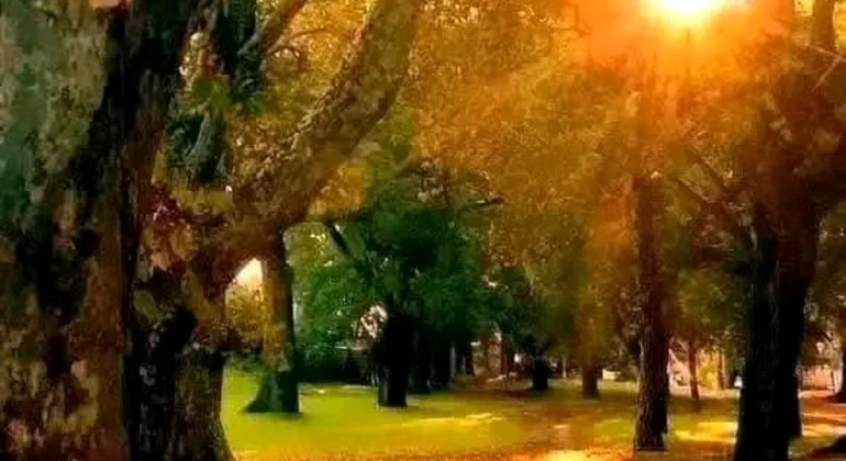 Tour Privado de História e Natureza: Bairro de Palermo em Buenos Aires Argentina &mdash; #9