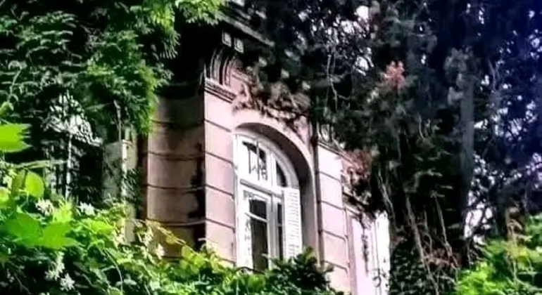 Tour Privado de História e Natureza: Bairro de Palermo em Buenos Aires Argentina &mdash; #14