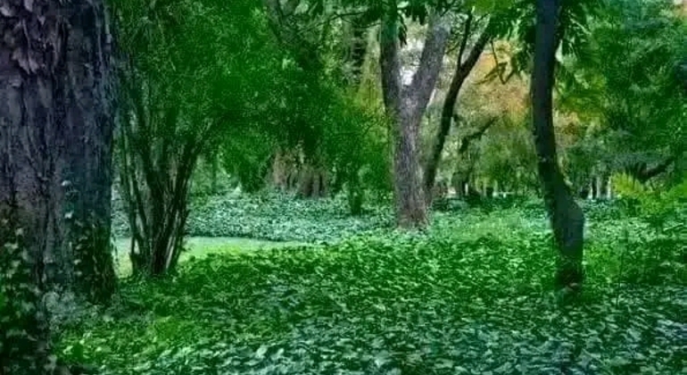 Tour Privado de História e Natureza: Bairro de Palermo em Buenos Aires Argentina &mdash; #16