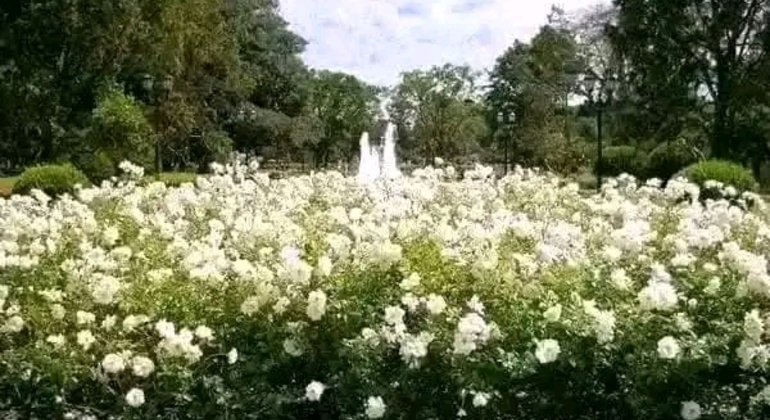 Tour Privado de História e Natureza: Bairro de Palermo em Buenos Aires Argentina &mdash; #20