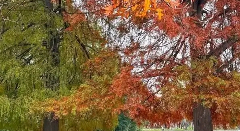 Tour Privado de História e Natureza: Bairro de Palermo em Buenos Aires Argentina &mdash; #24