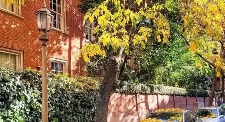 Tour Privado de História e Natureza: Bairro de Palermo em Buenos Aires Argentina &mdash; #27