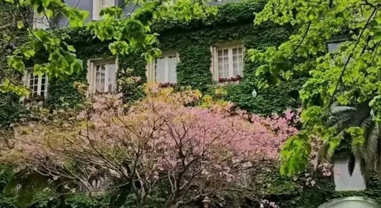 Tour Privado de História e Natureza: Bairro de Palermo em Buenos Aires Argentina &mdash; #35