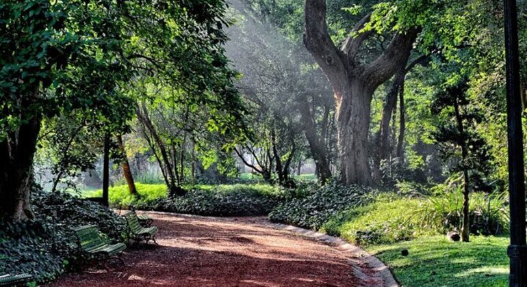 Tour Privado de História e Natureza: Bairro de Palermo em Buenos Aires Argentina &mdash; #43