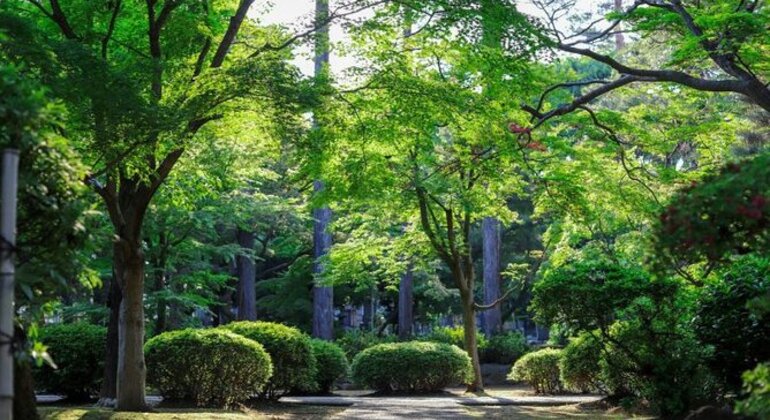 Tour Privado de História e Natureza: Bairro de Palermo em Buenos Aires Argentina &mdash; #44