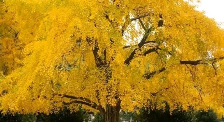 Tour Privado de História e Natureza: Bairro de Palermo em Buenos Aires Argentina &mdash; #49