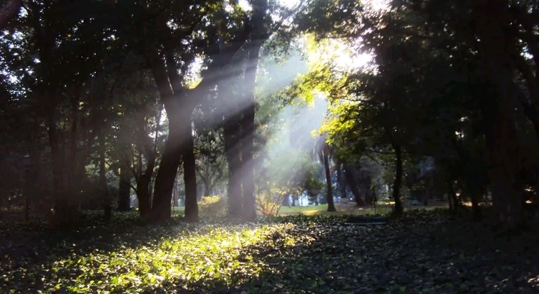 Tour Privado de História e Natureza: Bairro de Palermo em Buenos Aires Argentina &mdash; #50