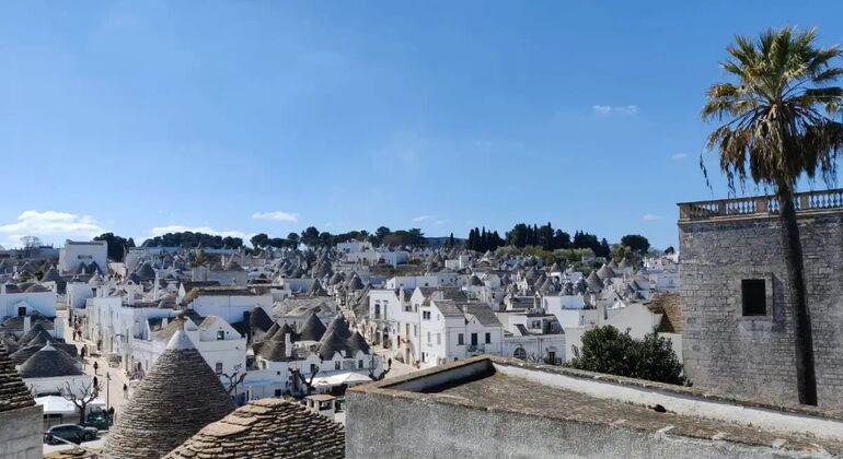 Escursione guidata di un giorno ad Alberobello con trasferimento condiviso da Matera