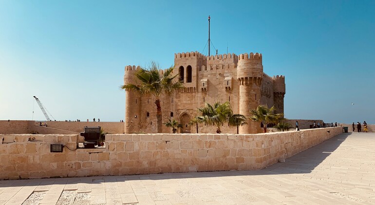 Alexandria Full Day Guided Tour from Cairo Provided by Marko Egypt Tours