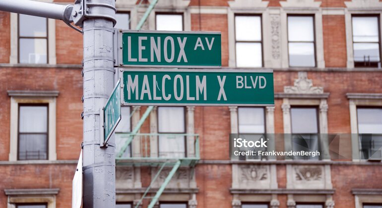 The Harlem Tour. Jazz, Triumph, and Soul USA &mdash; #5