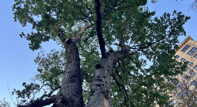 the-greenwich-village-history-tour-es-3