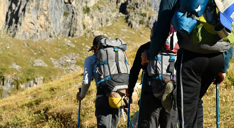 Tour esperienziale: Pompei, Vesuvio e degustazione di vini Italia &mdash; #7