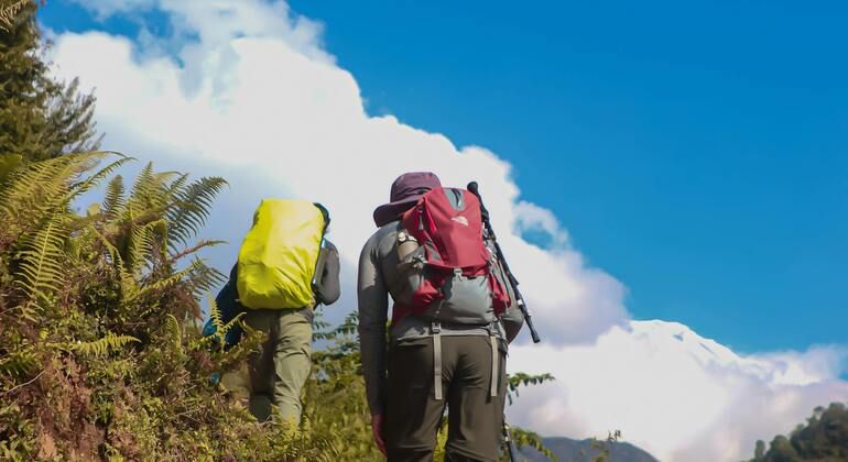 Tour esperienziale: Pompei, Vesuvio e degustazione di vini Italia &mdash; #9