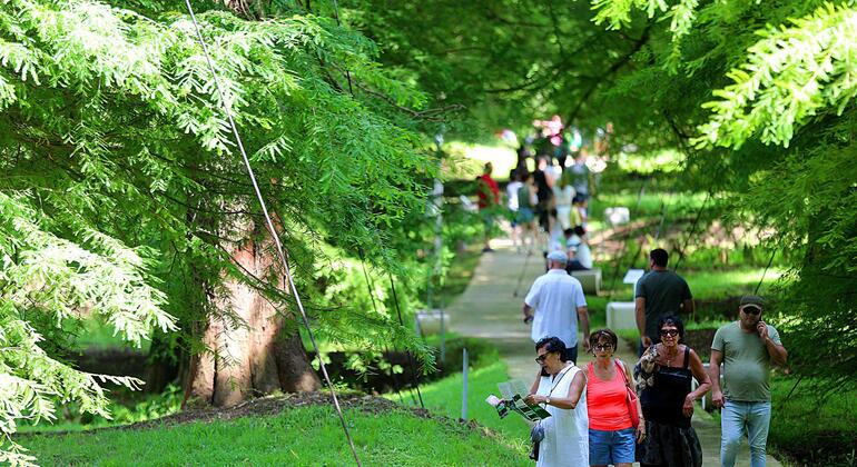 De Kutaisi : Batumi, parc dendrologique et visite de Gonio Fortres Géorgie &mdash; #11
