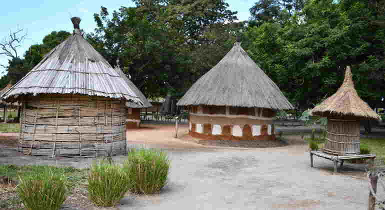 Tour della città di Dar es Salaam di un'intera giornata con pranzo Tanzania &mdash; #3