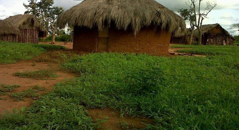 Tour della città di Dar es Salaam di un'intera giornata con pranzo Tanzania &mdash; #11