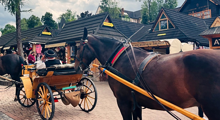 Krakau: Tagesausflug nach Zakopane, Gubałówka und zu den Chochołow-Thermalbädern Polen &mdash; #10