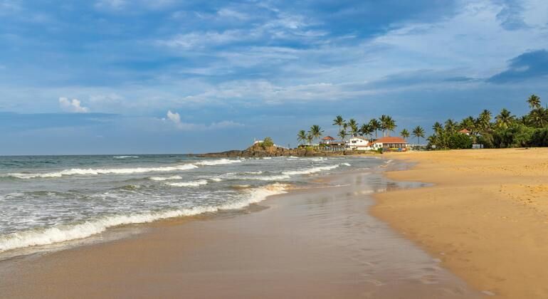 Bentota Bicycle Free Tour Sri Lanka &mdash; #3