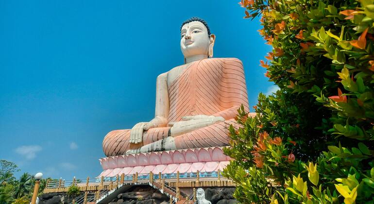 Bentota Bicycle Free Tour