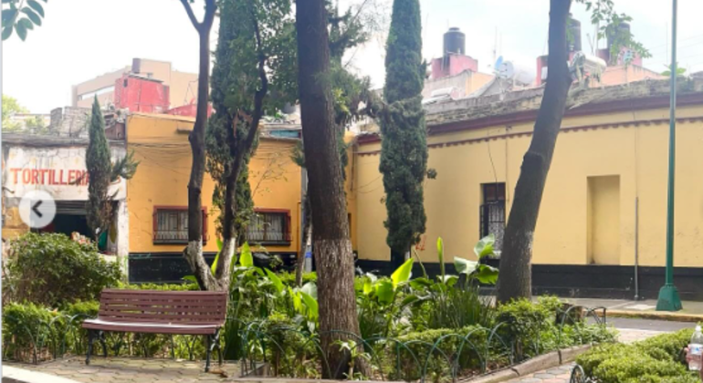 CDMX: Recorrido gratuito por las colonias Roma y Condesa en la Ciudad de México  México &mdash; #3