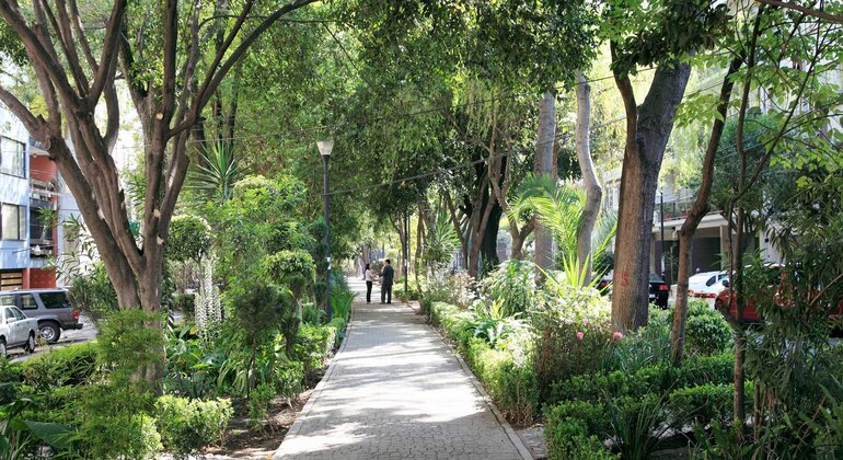 CDMX: Recorrido gratuito por las colonias Roma y Condesa en la Ciudad de México  México &mdash; #17