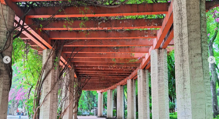 CDMX: Recorrido gratuito por las colonias Roma y Condesa en la Ciudad de México  México &mdash; #19