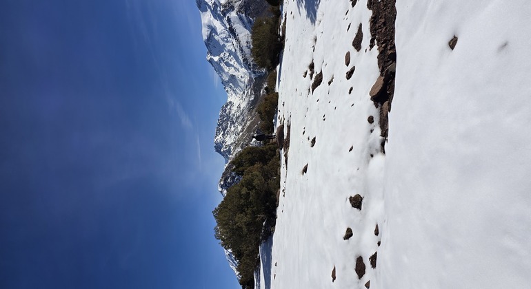 Marrakech to Atlas Mountains Tour: Hike, Waterfall & Berber Lunch Morocco &mdash; #3