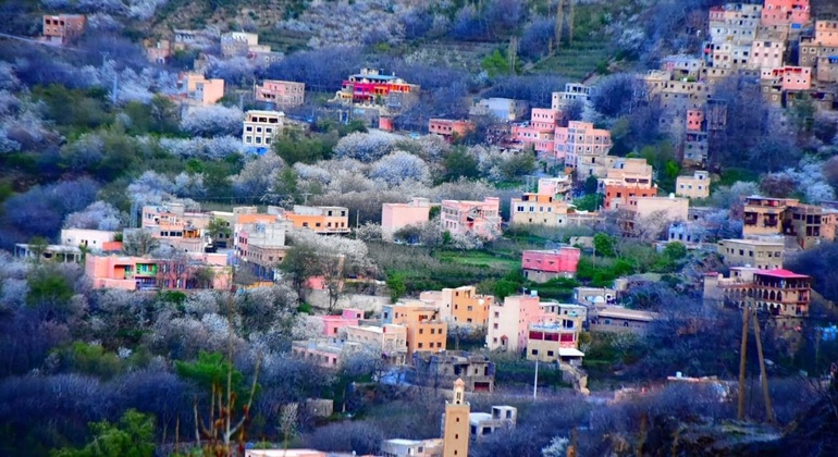 Marrakech to Atlas Mountains Tour: Hike, Waterfall & Berber Lunch Morocco &mdash; #8