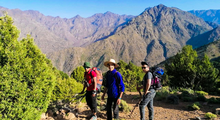 Marrakech to Atlas Mountains Tour: Hike, Waterfall & Berber Lunch Morocco &mdash; #9